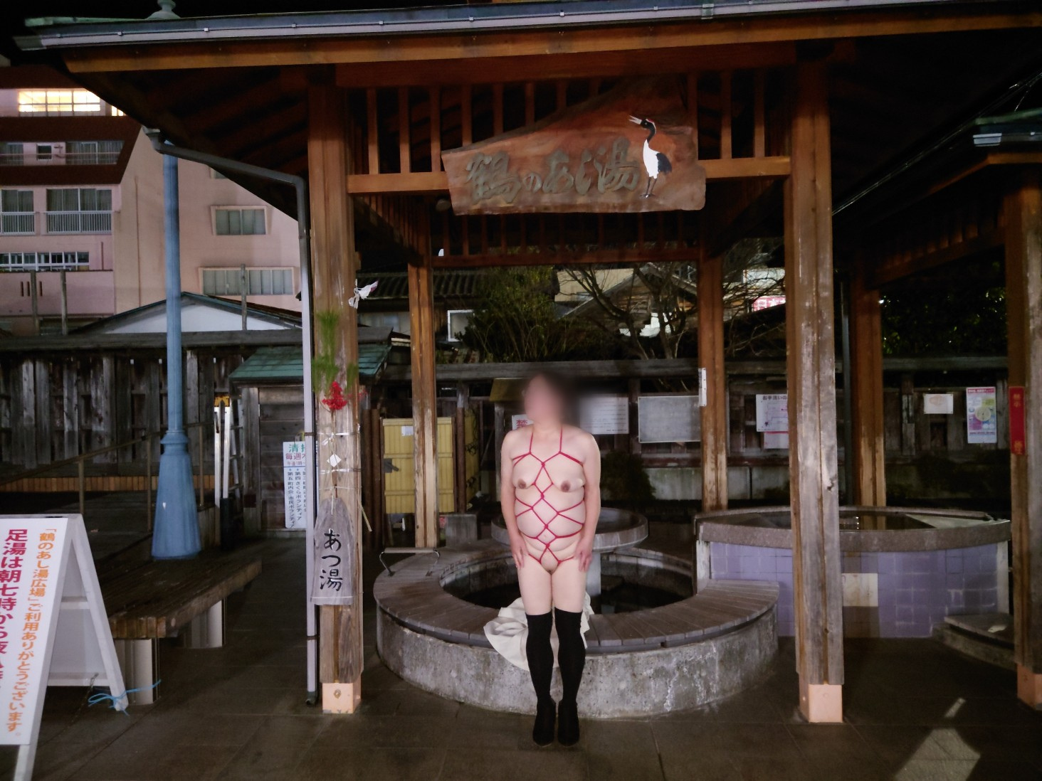 日本３大古泉の一つの画像その3