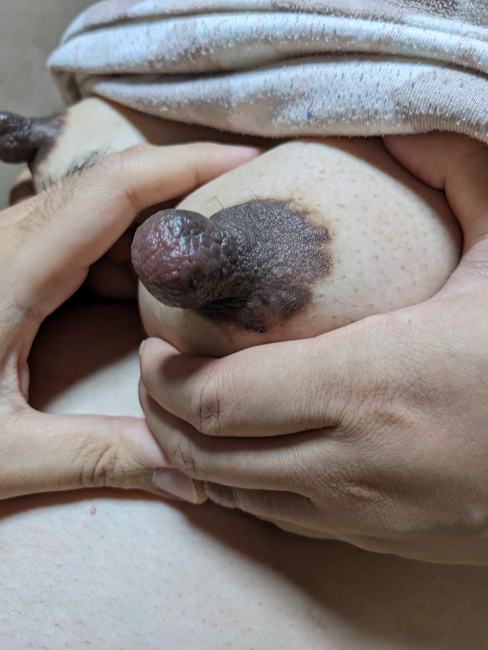 妊婦のデカ乳首　その⑥の画像その5