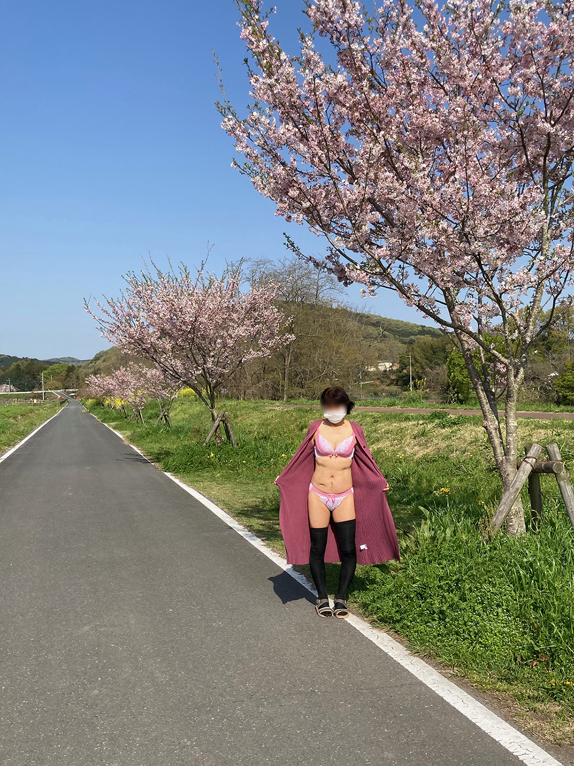 桜の季節が終わってしまいましたの画像その3