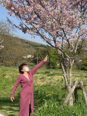 桜の季節が終わってしまいました