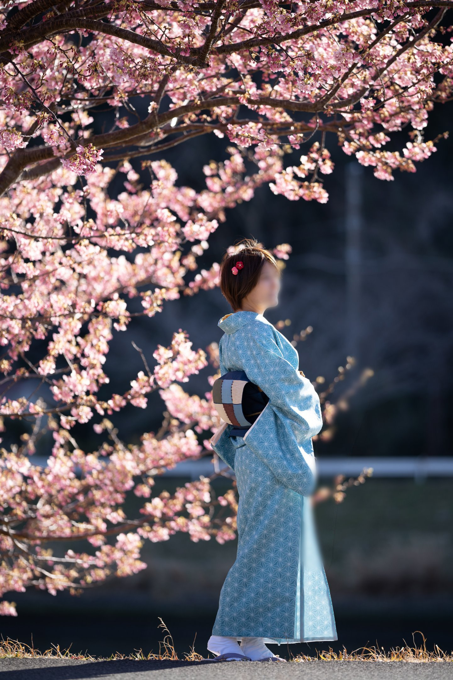 伊豆の踊り子の画像その1