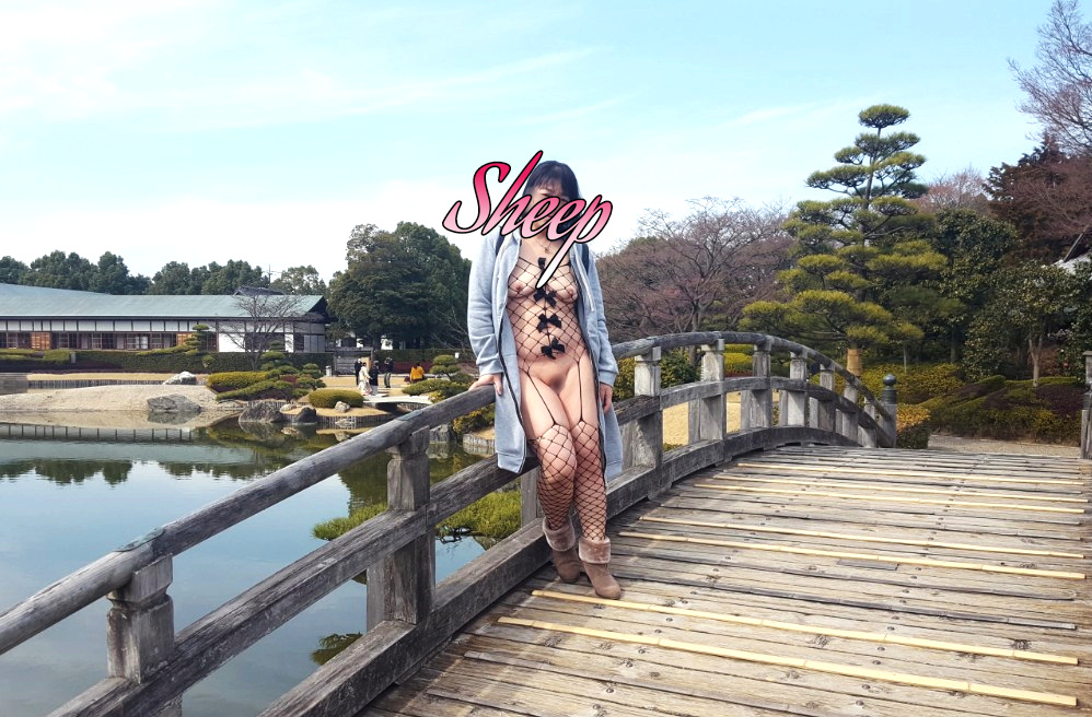 日本庭園で…の画像その4