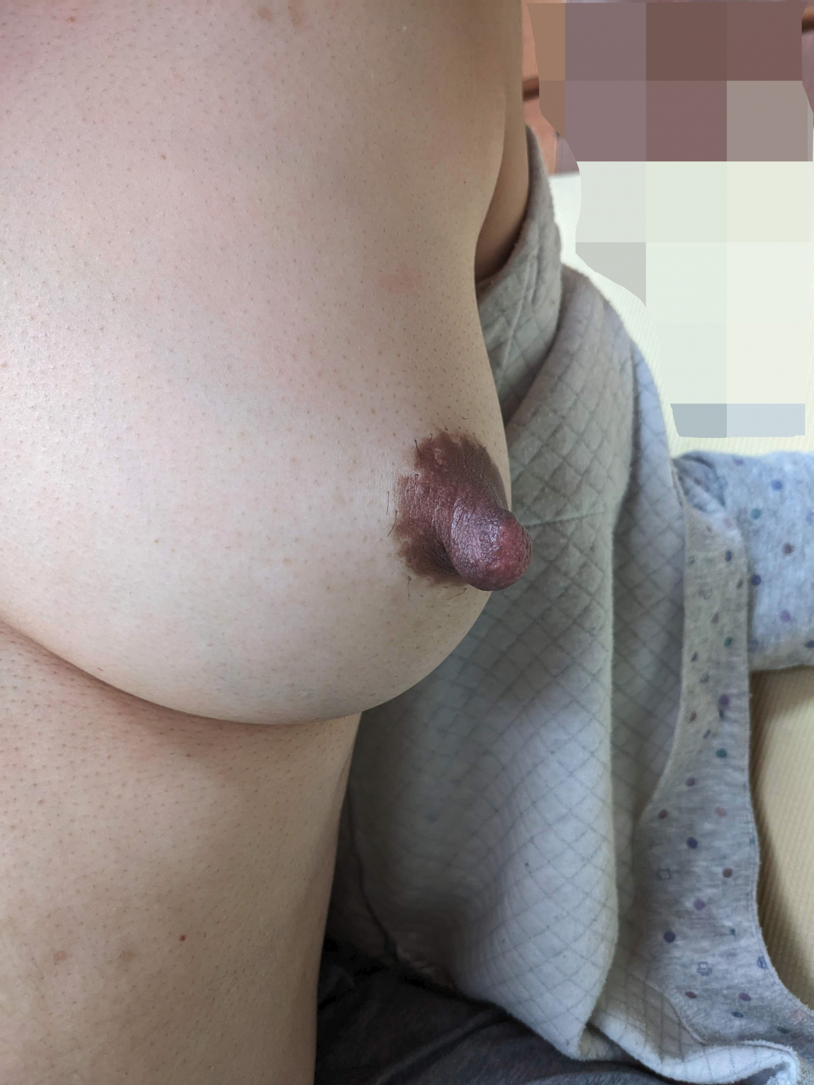 授乳期のデカ乳首　その②の画像その3