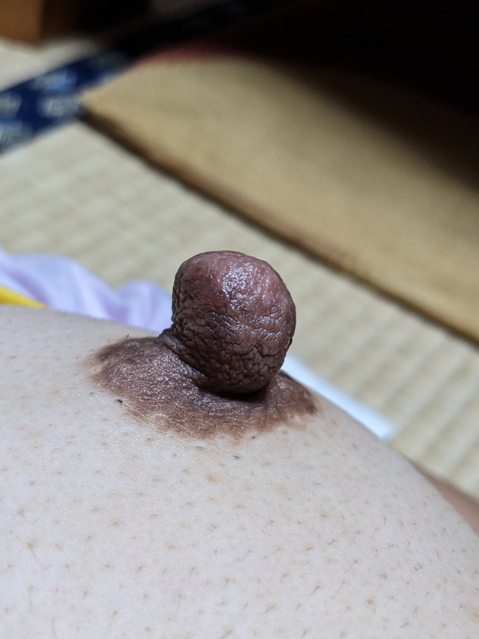 ヨメのデカ乳首の画像その4