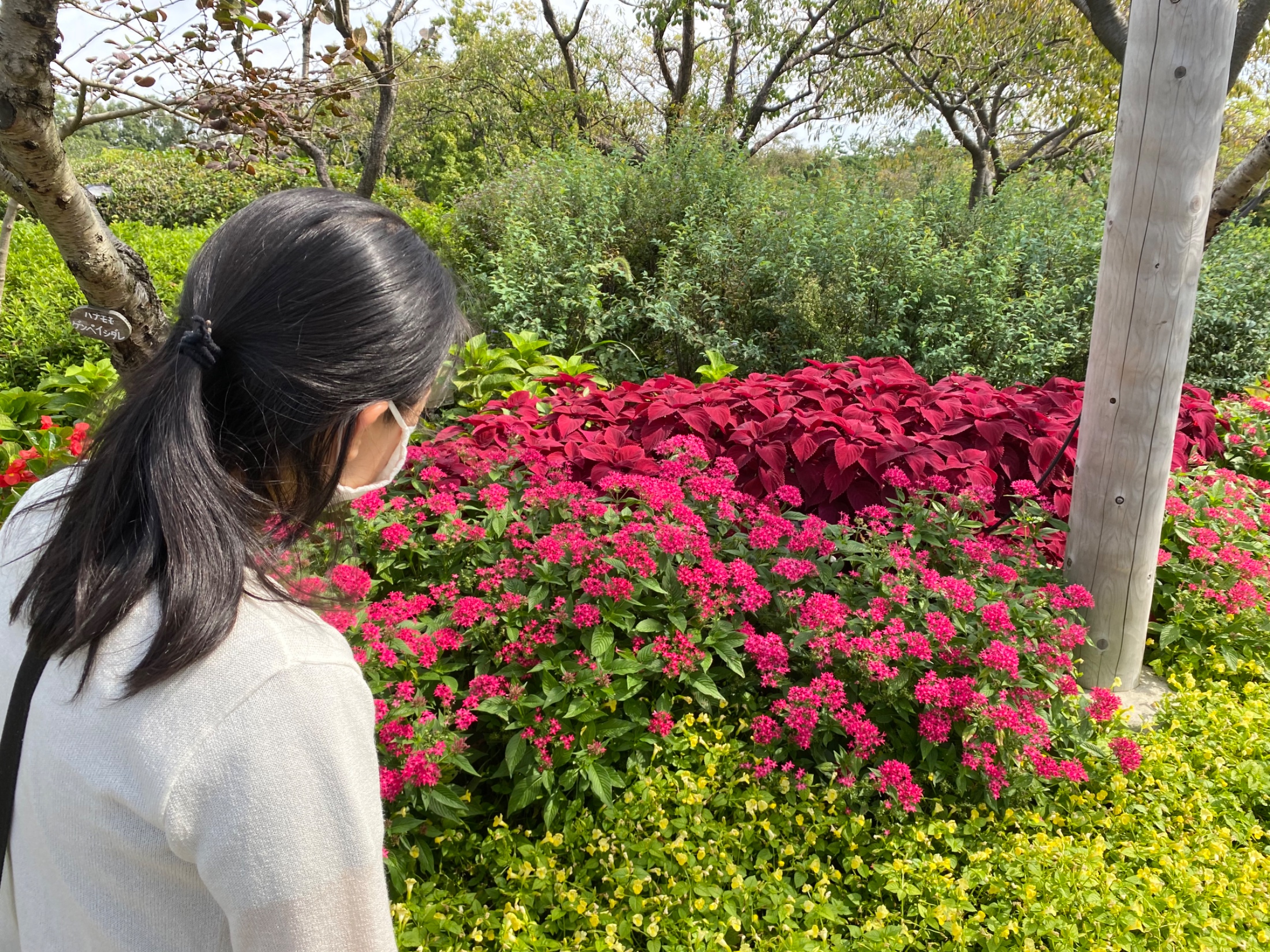 サイトで知り合った歳下彼女①の画像その2