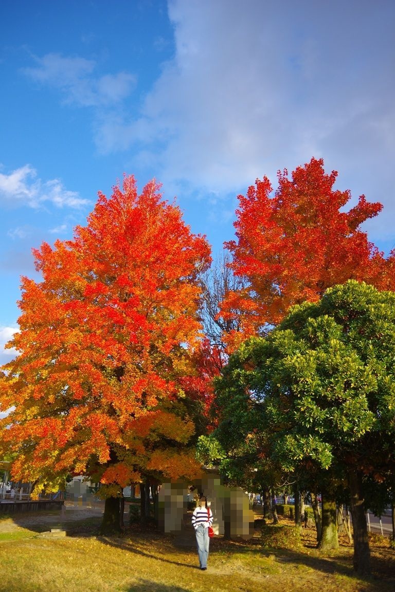 昨日の様子ですの画像その5