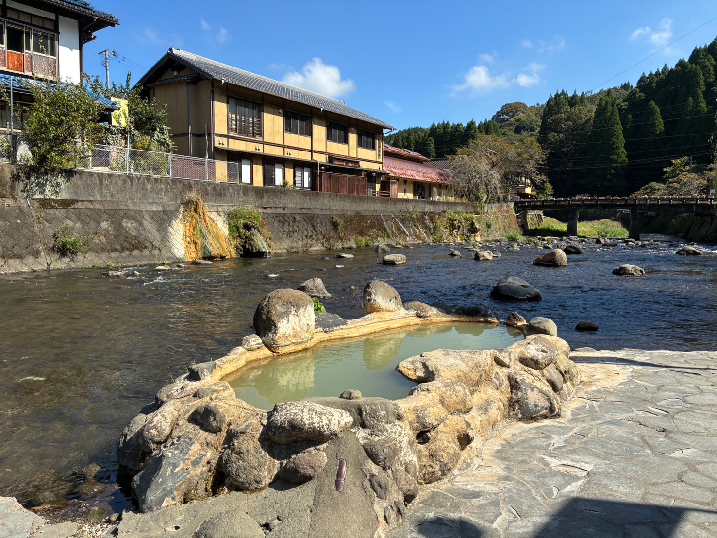 お久しぶりですの画像その1