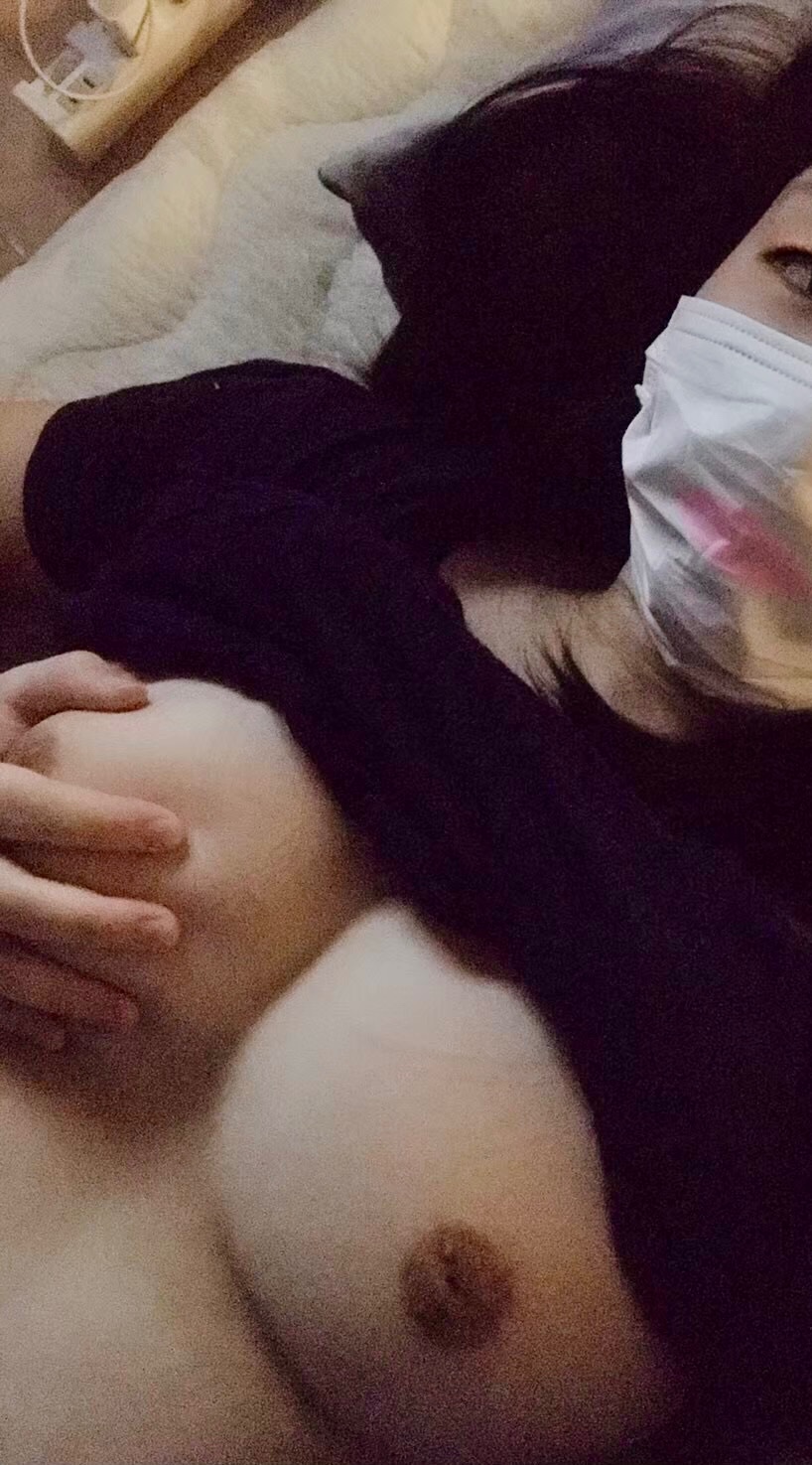 可愛いペットの画像その5