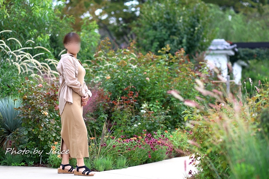 アラフィフ先生妻の画像その1