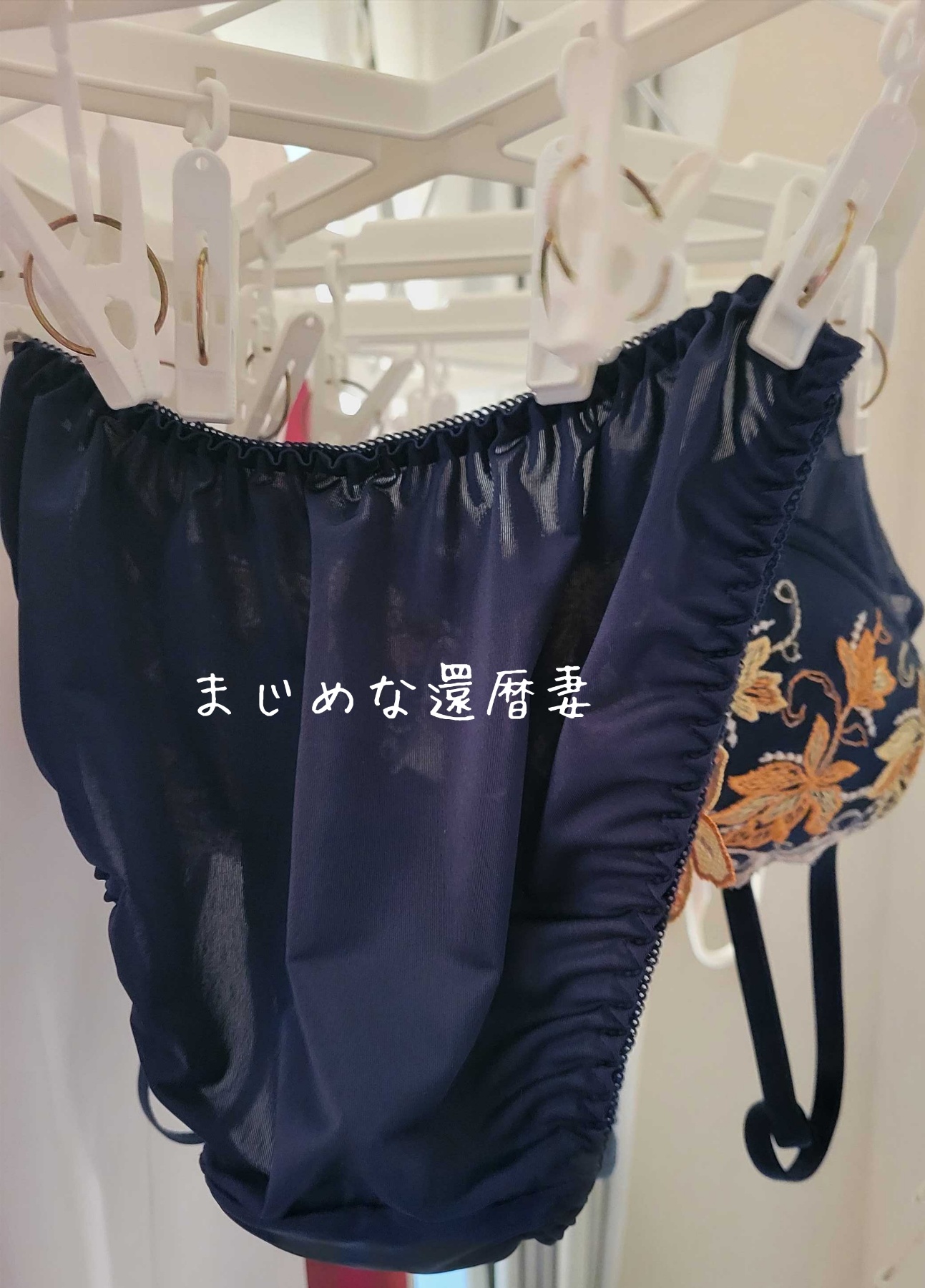 熟女妻の下着の画像その2