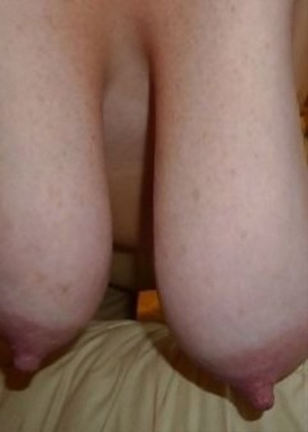 だらしなく垂れ下がったウシ乳の画像その1