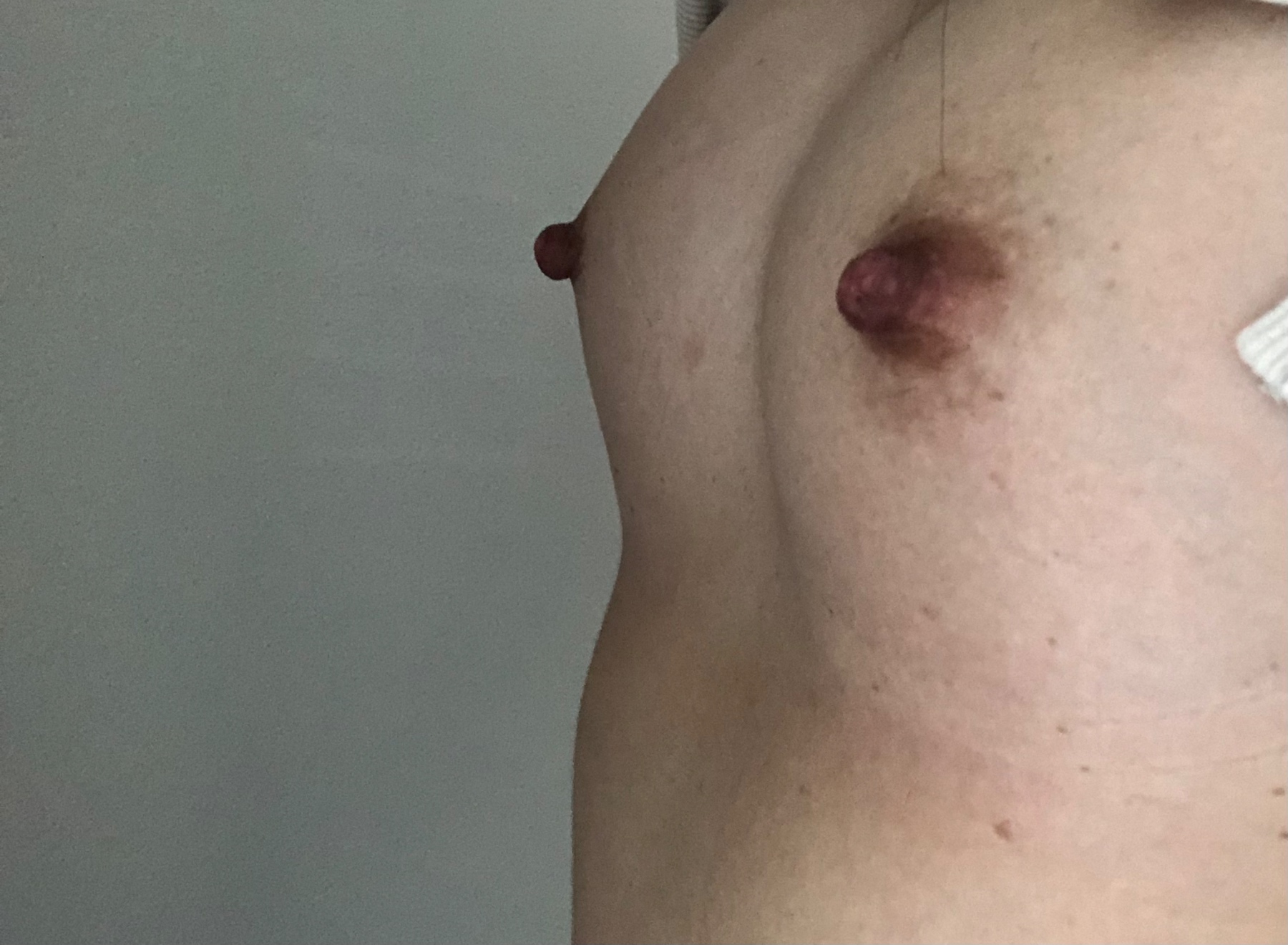 初ドリの画像その1