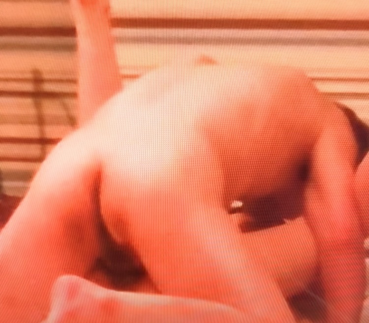 好きに使ってくださいの画像その3