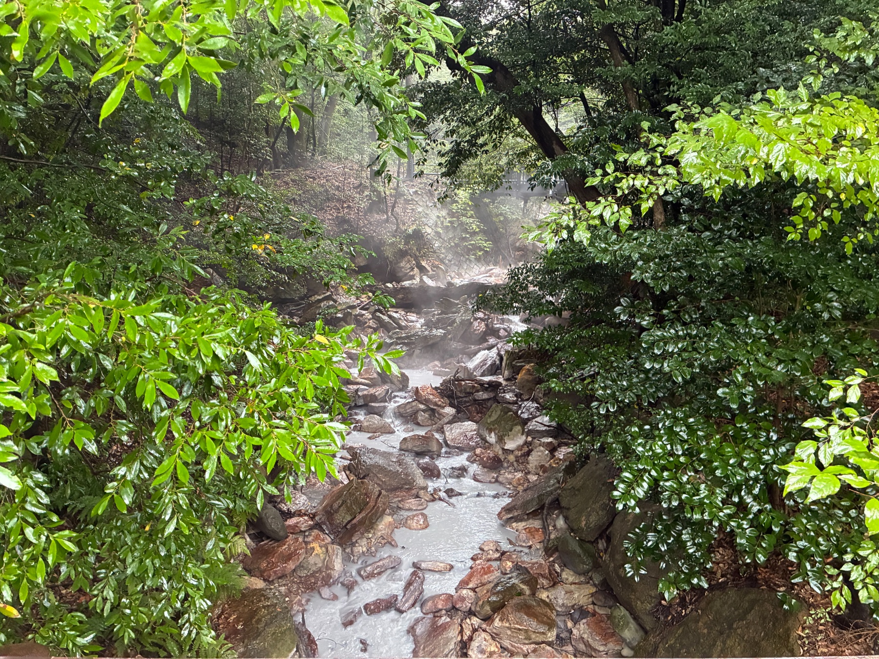 野湯を楽しむ⑭の画像その1