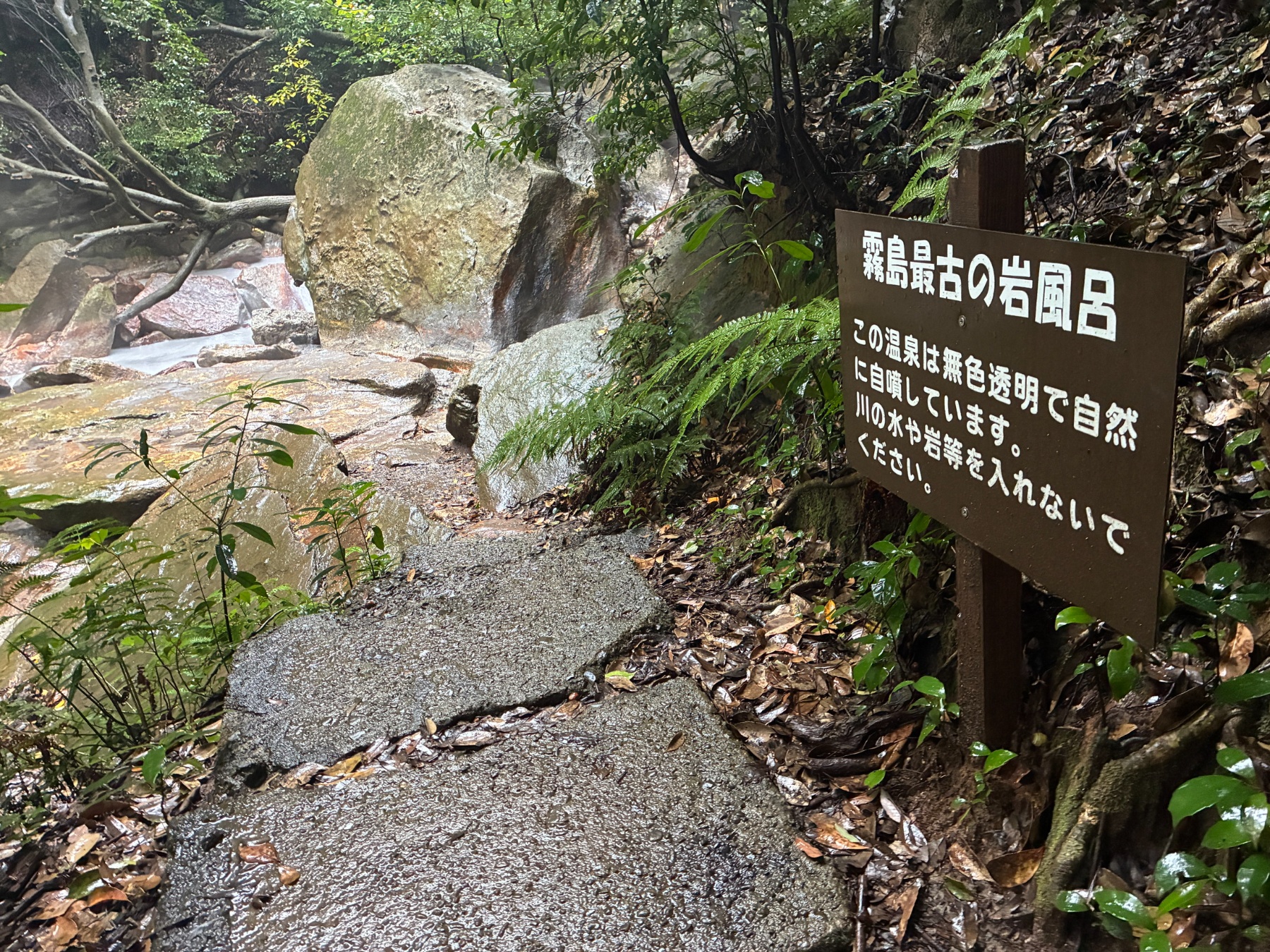 野湯を楽しむ⑭の画像その2