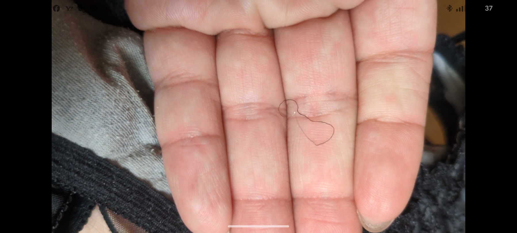 お宝探し12のおまけの画像その3