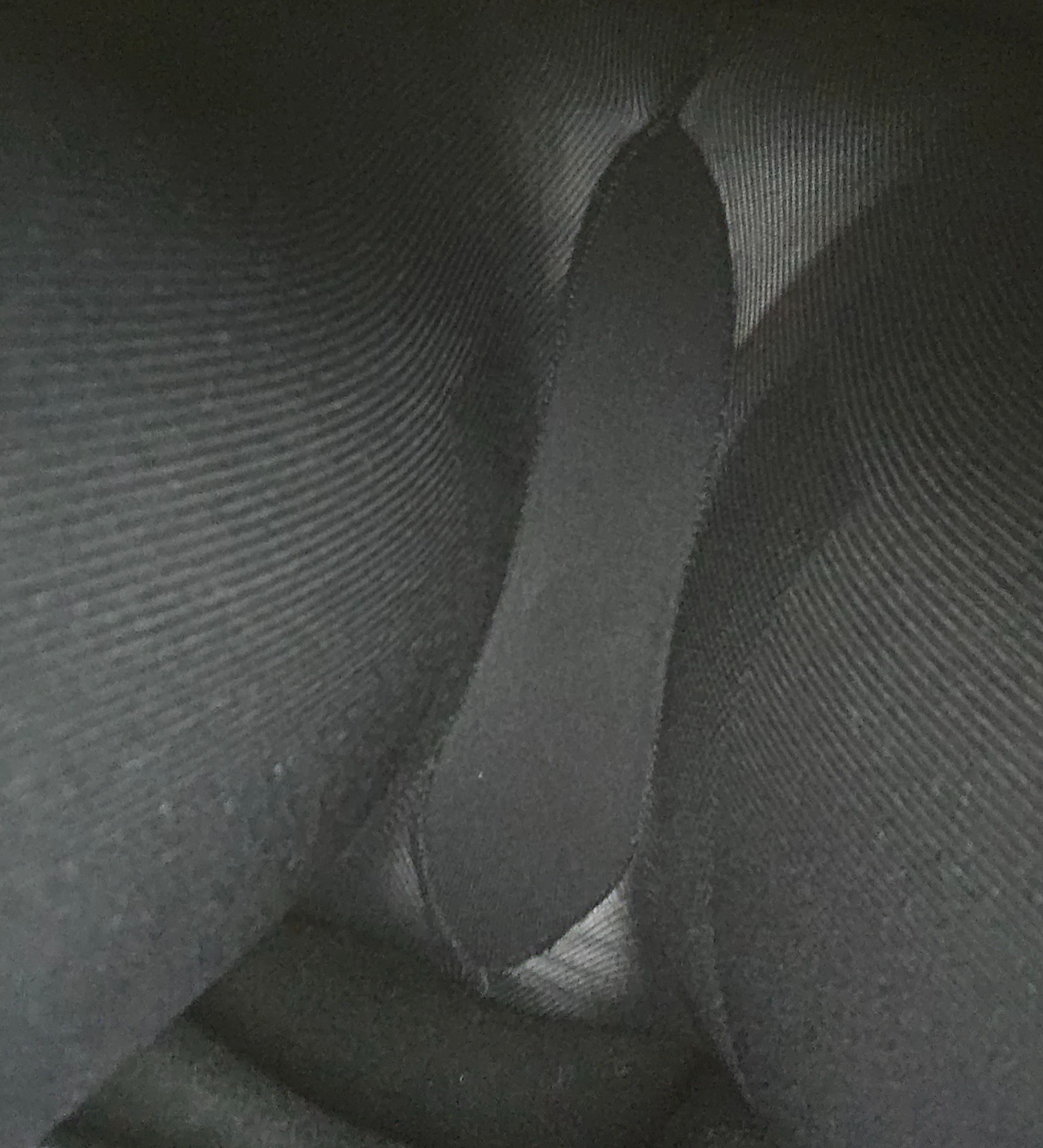 母のタイツの画像その1