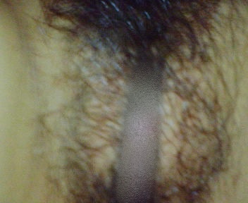 嫁のアソコの画像その5