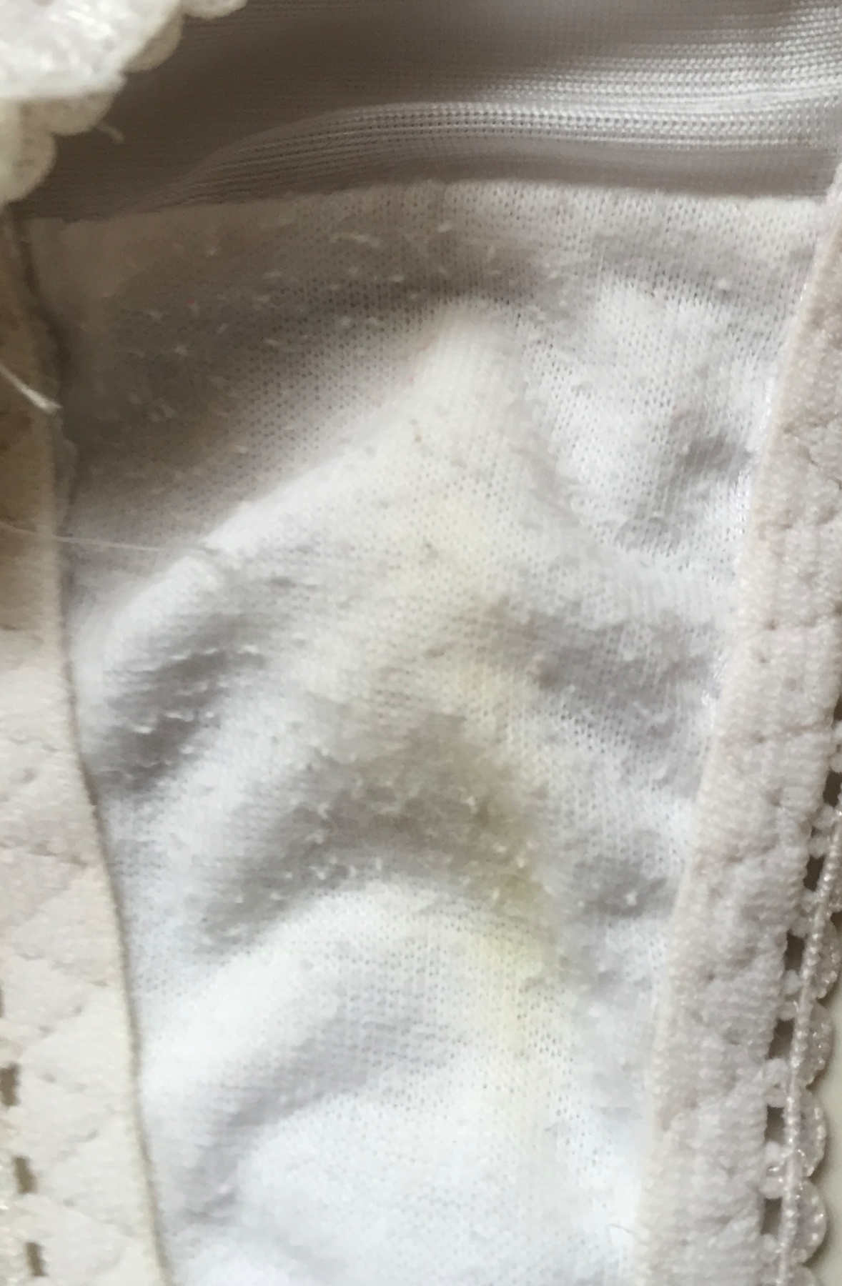 毛玉の白紐Ｔバックの画像その3