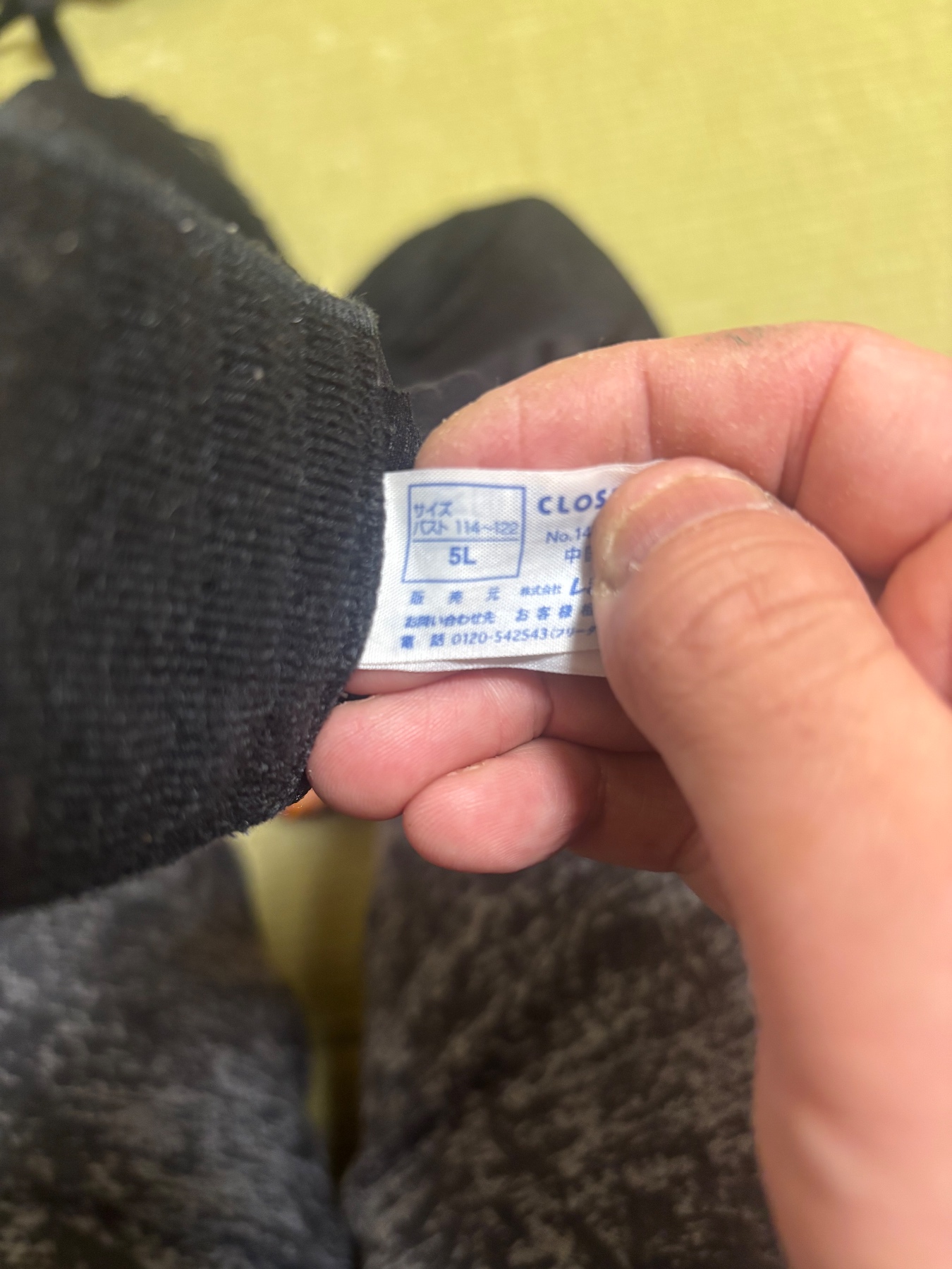 豊満ボディー妻の下着の画像その2