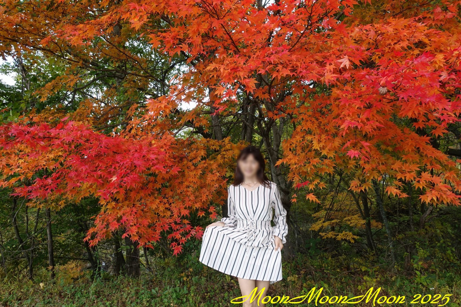 待ちくたびれワニ子の画像その1