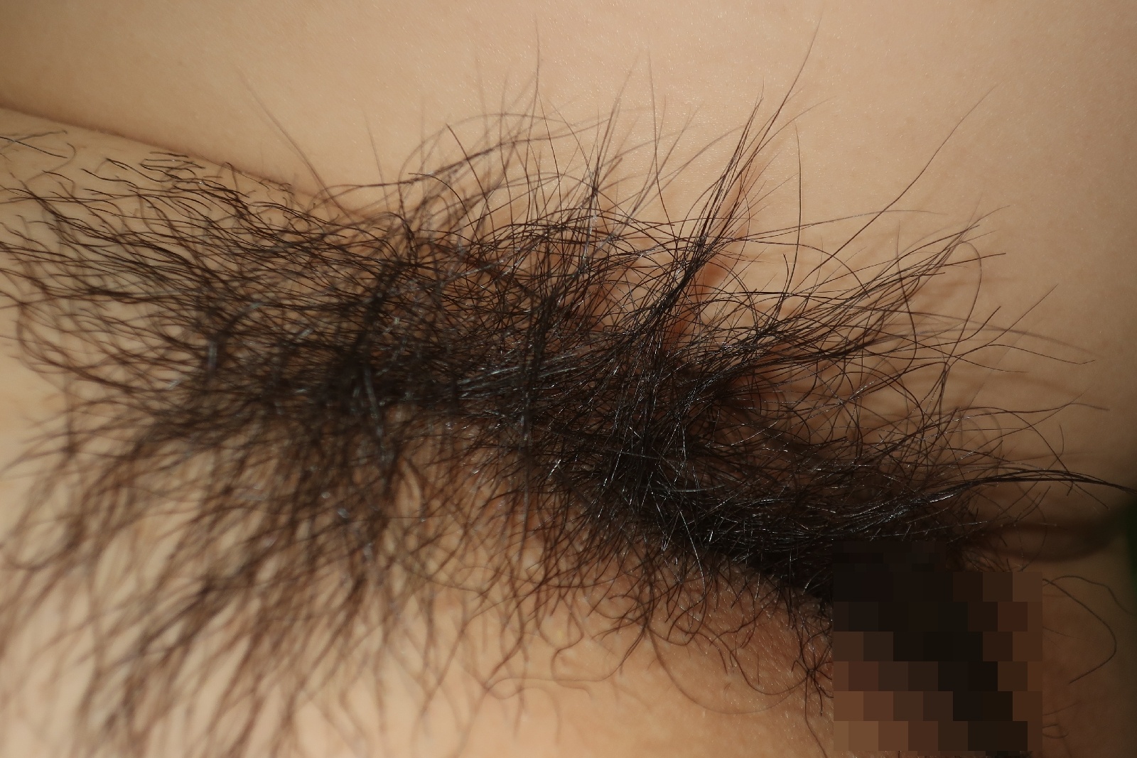 陰毛好きの皆さんありがとうの画像その5