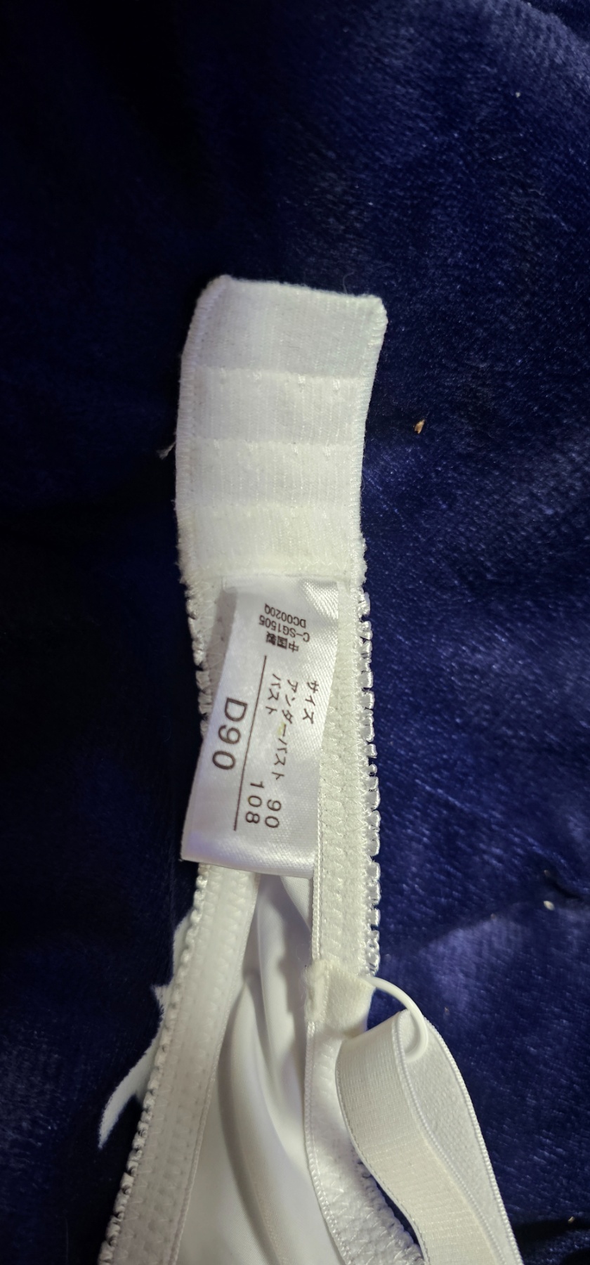 太めの妻 ５の画像その3