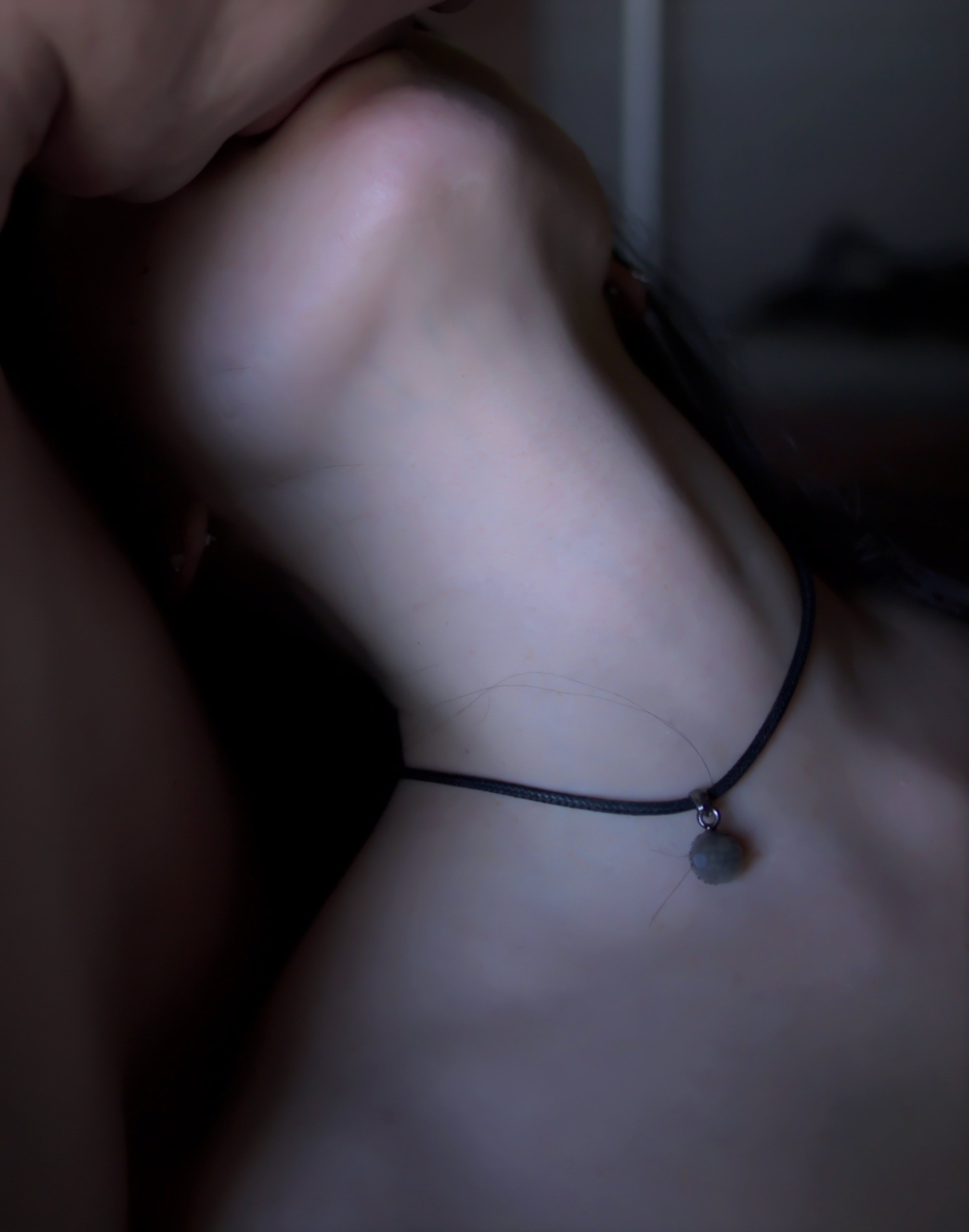 従順の画像その3