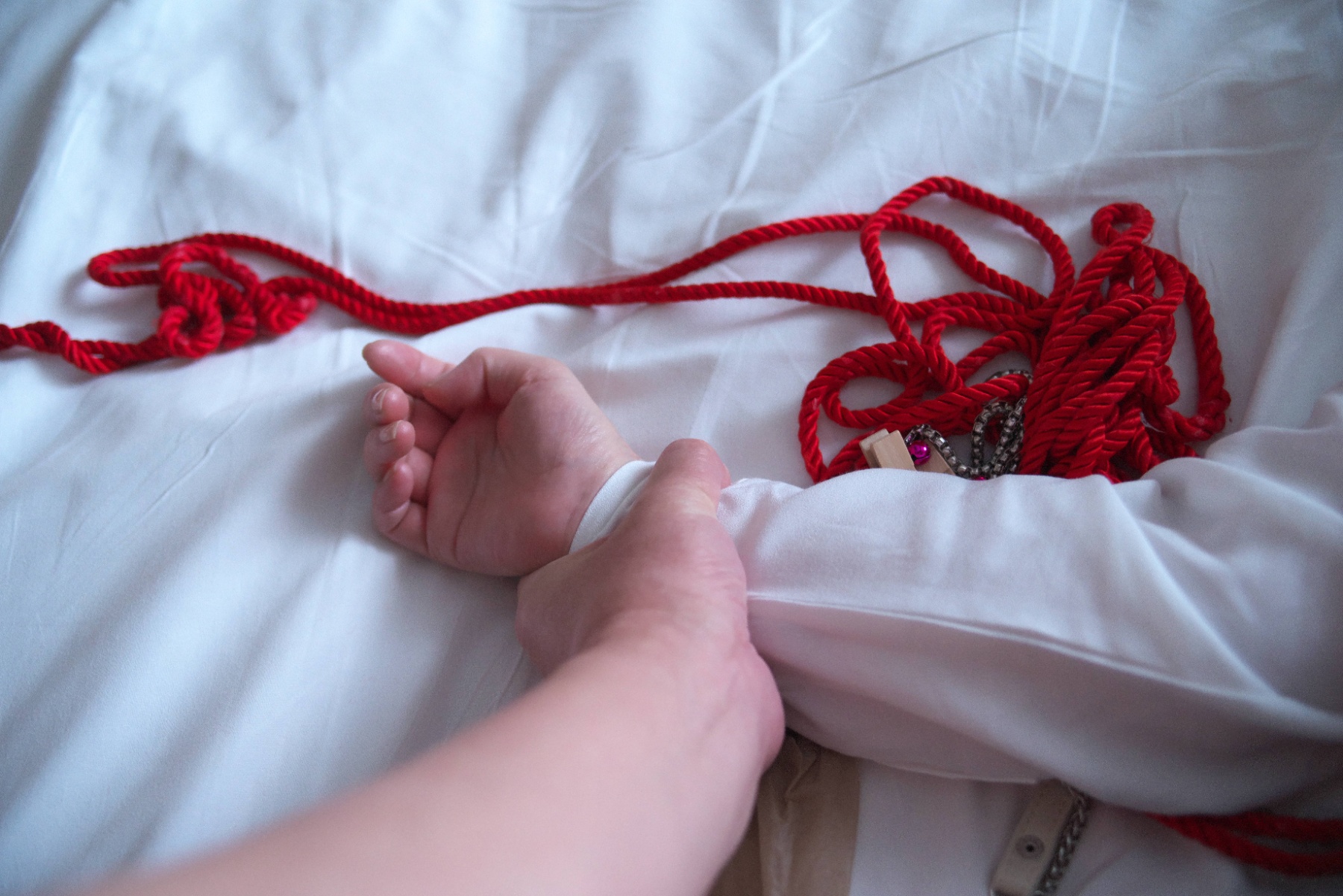 従順の画像その2