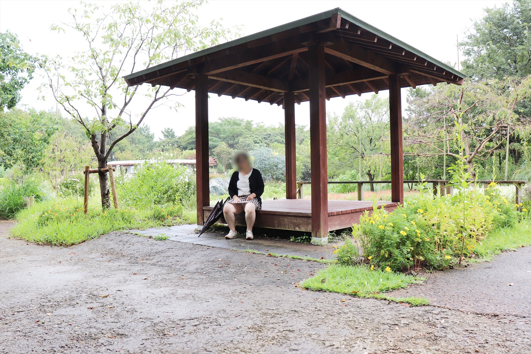 ぽちゃなおばさんの画像その4