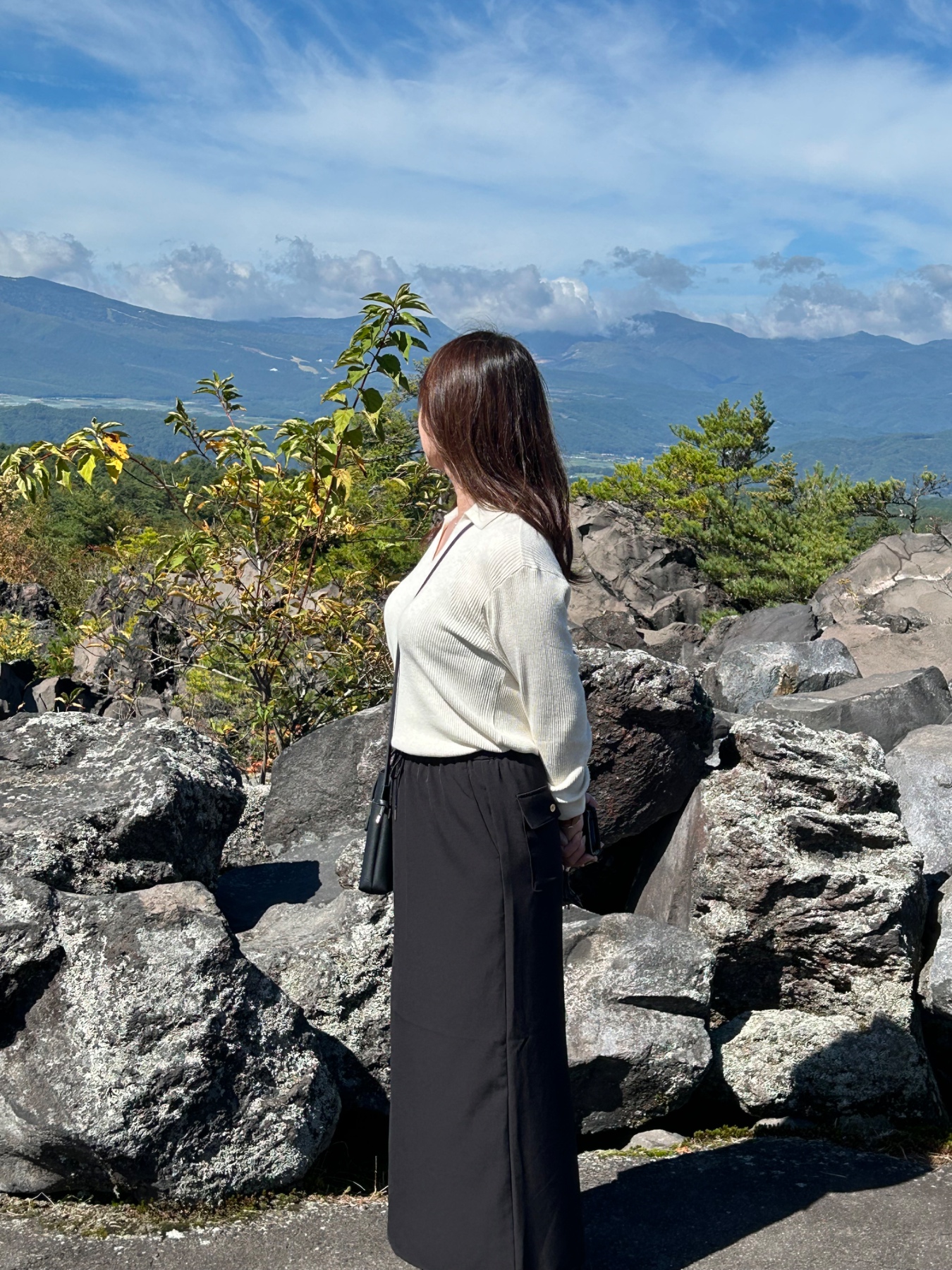 妻の着衣と裸の画像その4