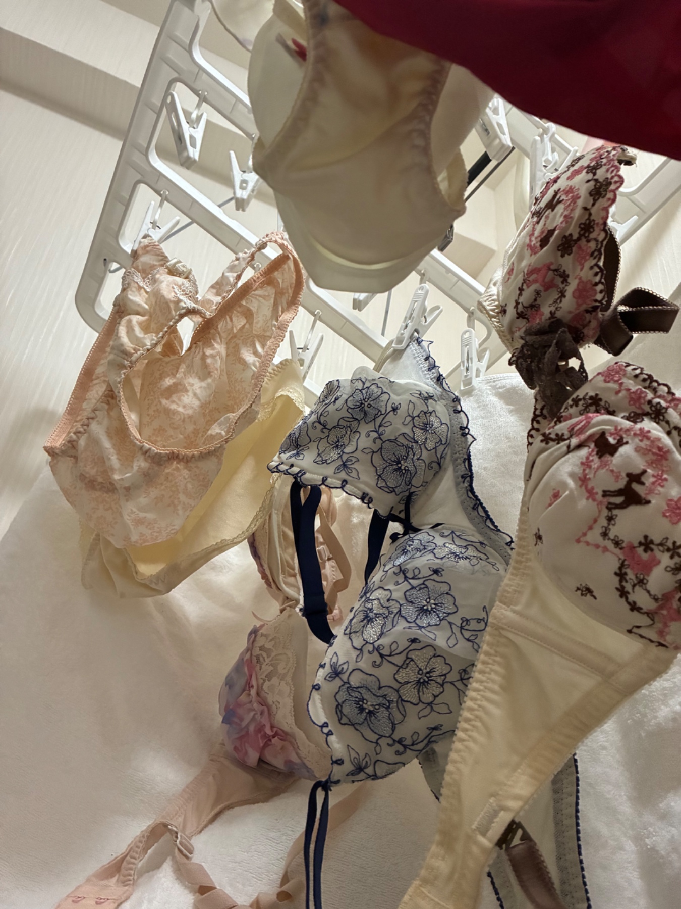 嫁と三姉妹の画像その2