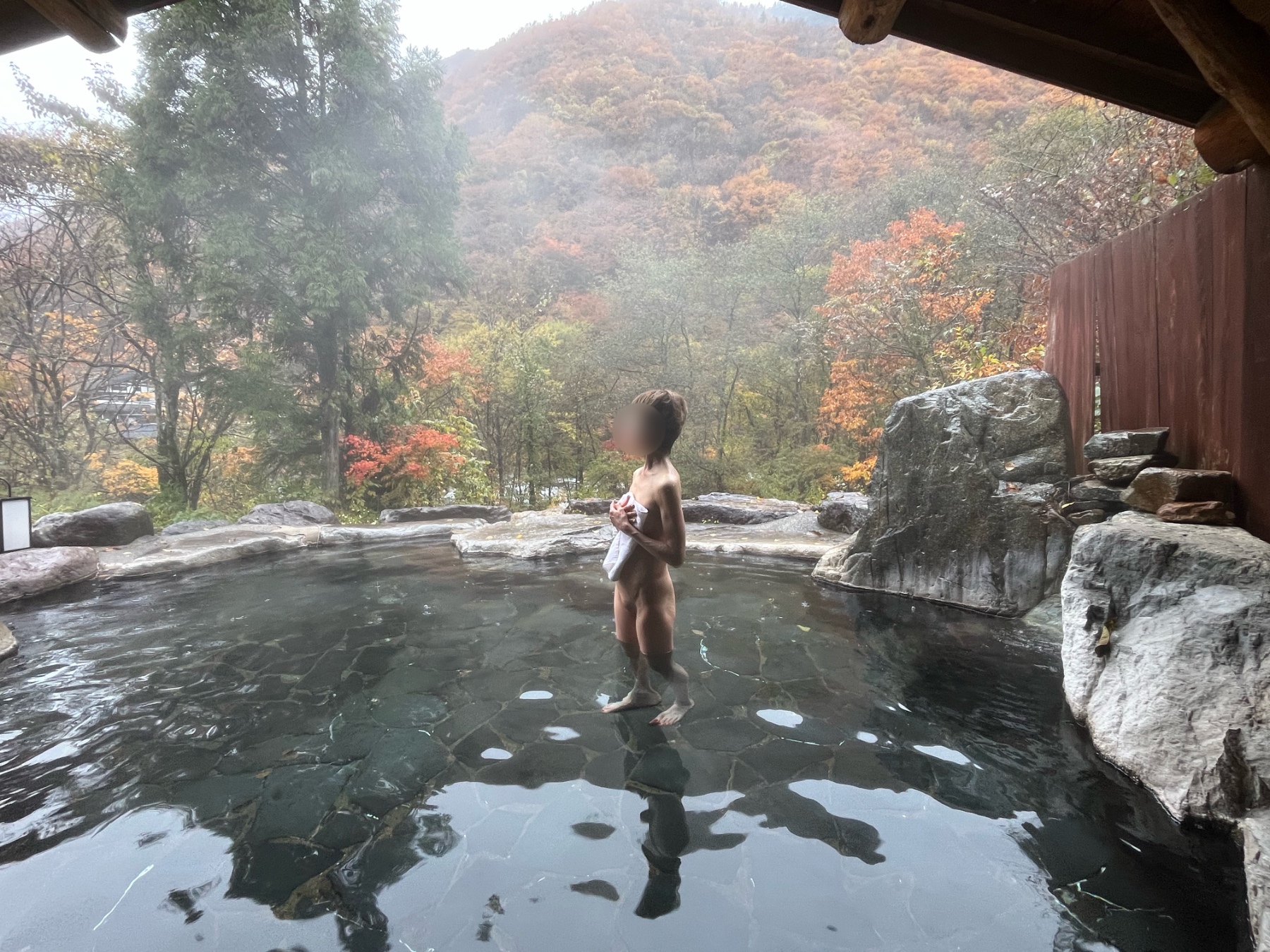 雨の紅葉狩り🍁の画像その2