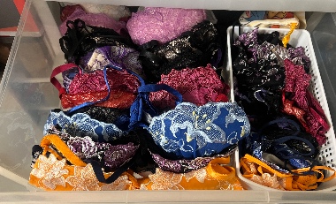 彼女の所持下着