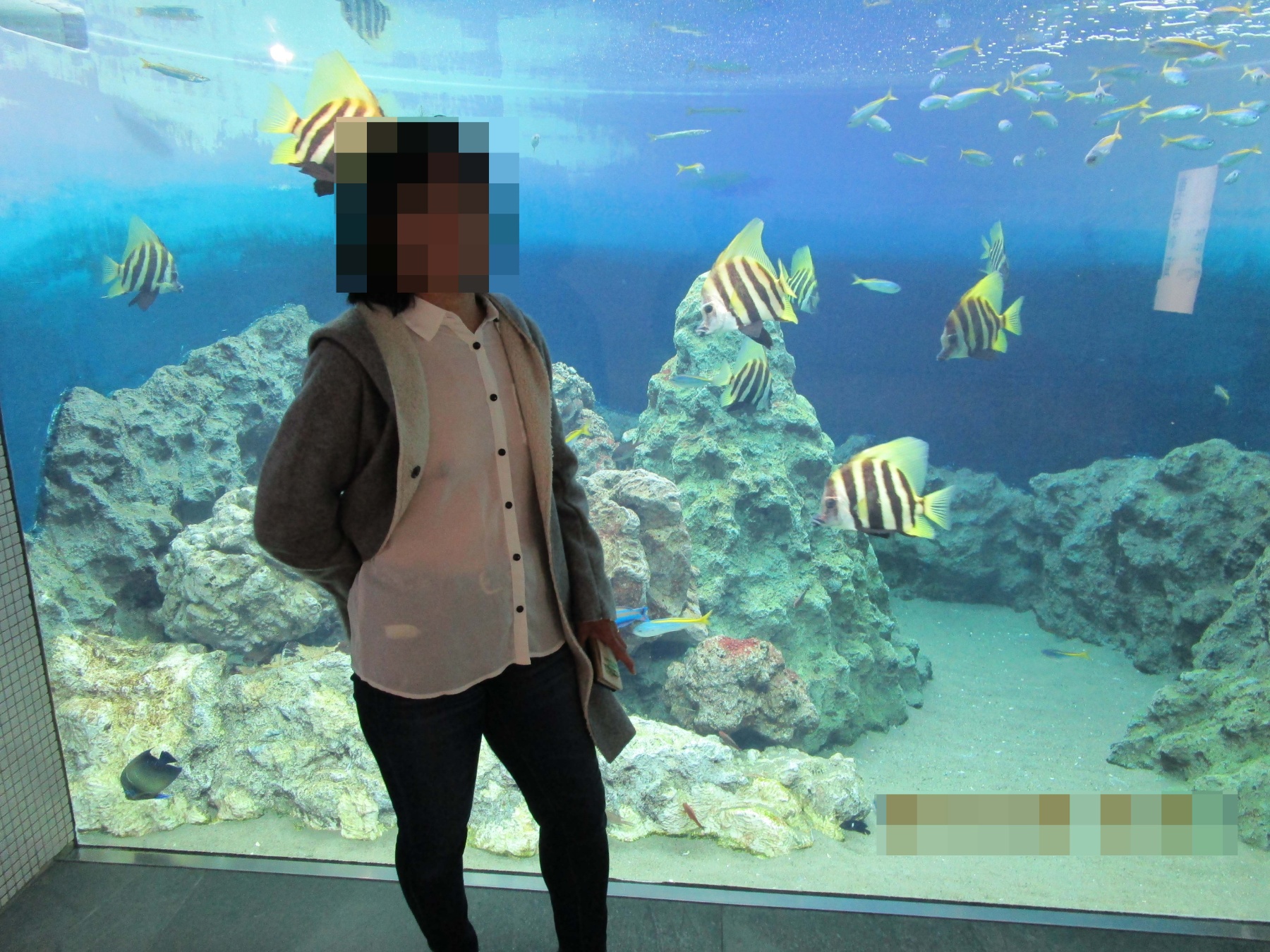 いろいろな場所で露出しましたの画像その4