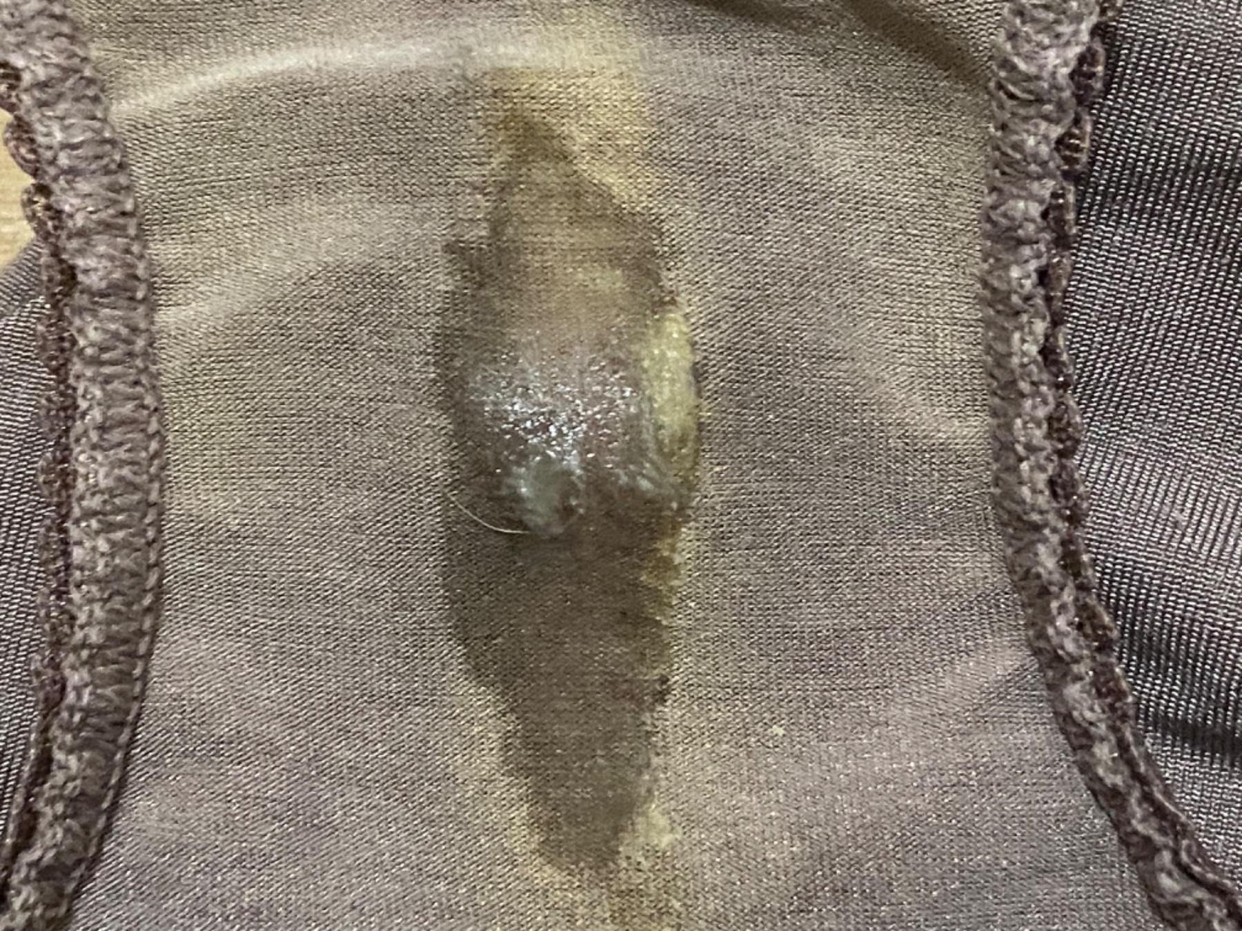 相変わらずの画像その3