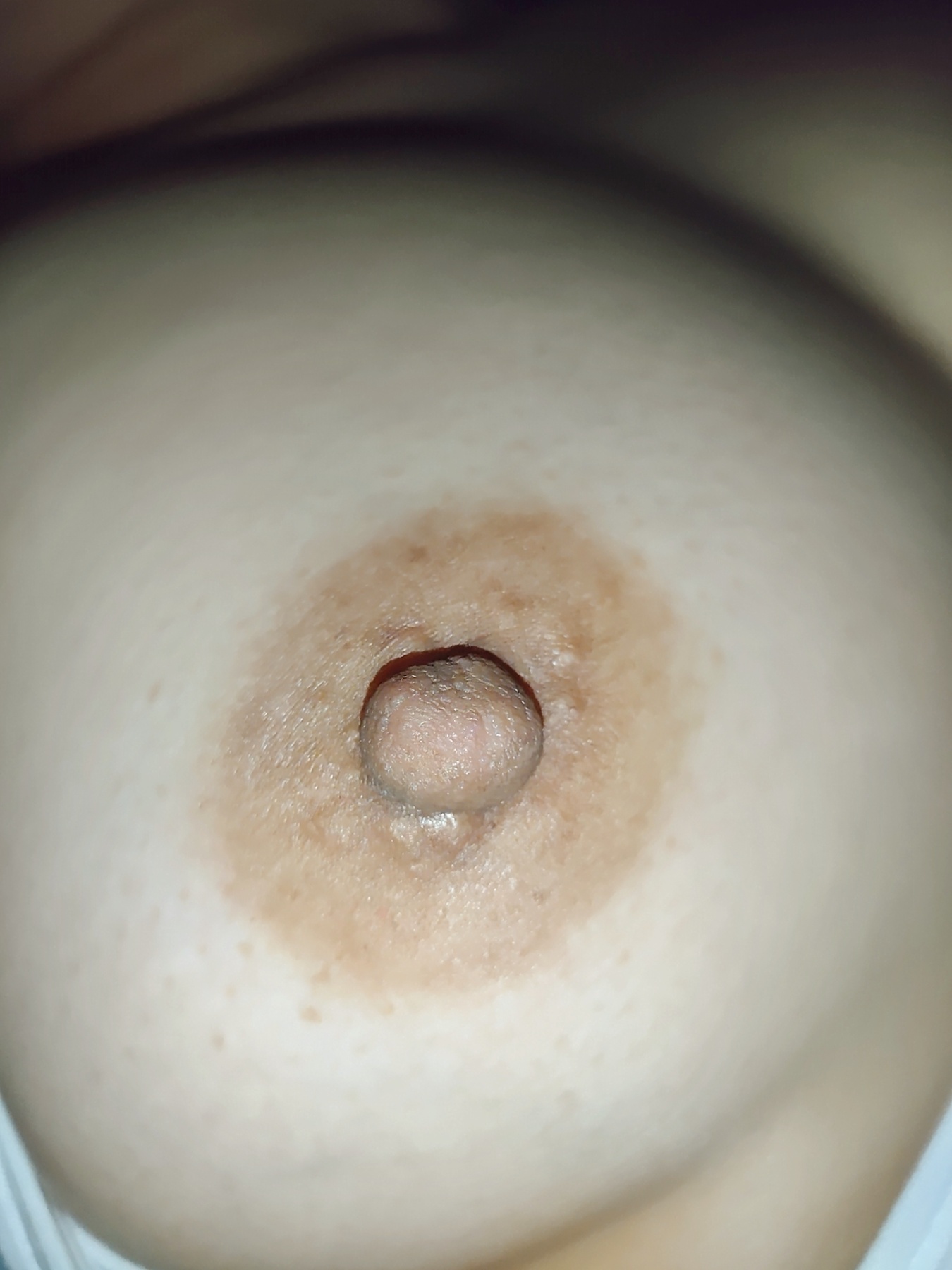 妻のおっぱいの画像その5