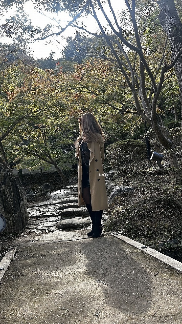 紅葉見学の画像その2