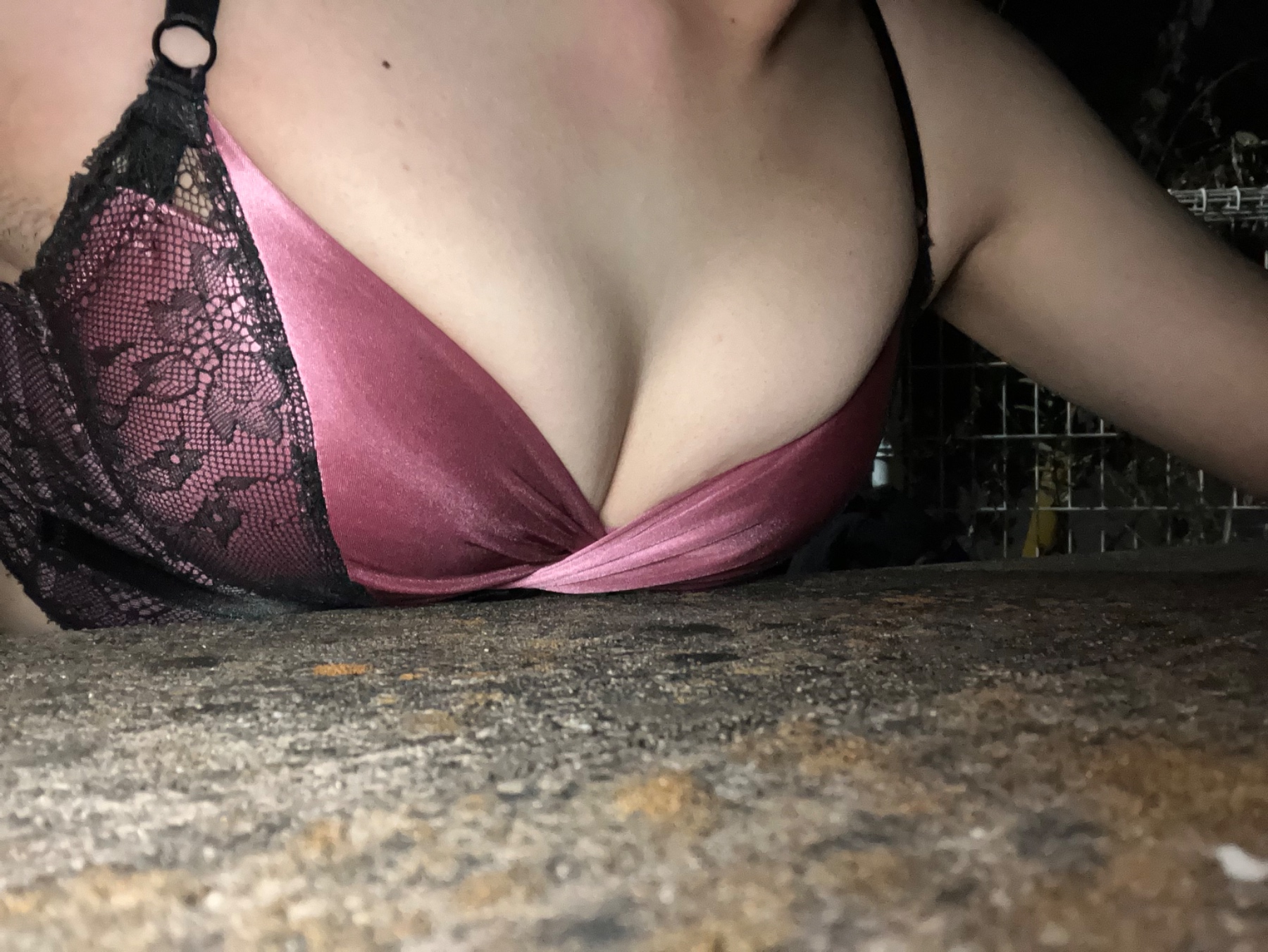 某団地の某ベンチにての画像その4