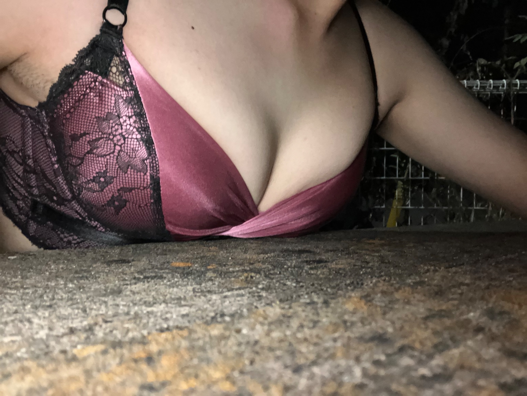 某団地の某ベンチにての画像その3