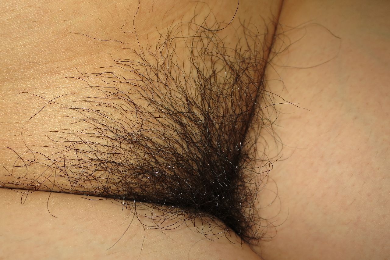 恥毛集の画像その4