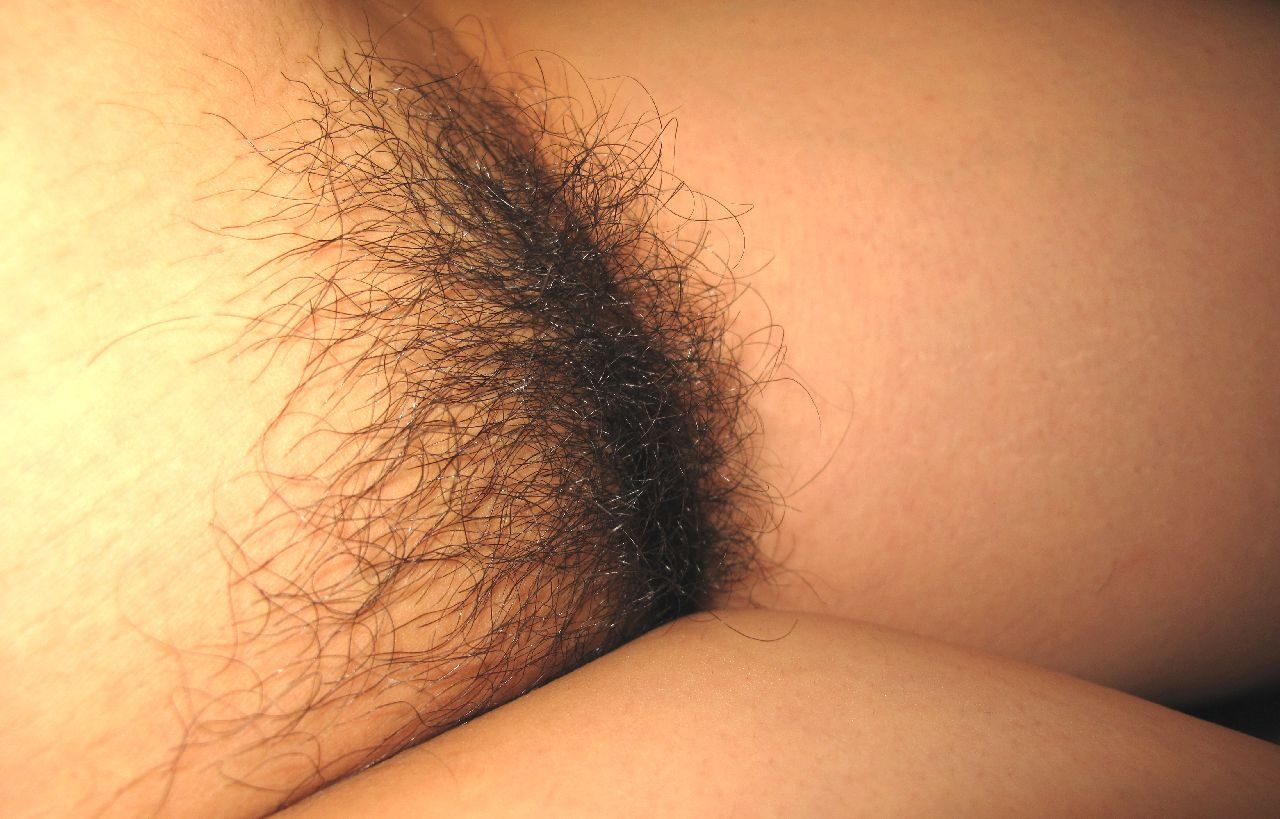 恥毛集の画像その2
