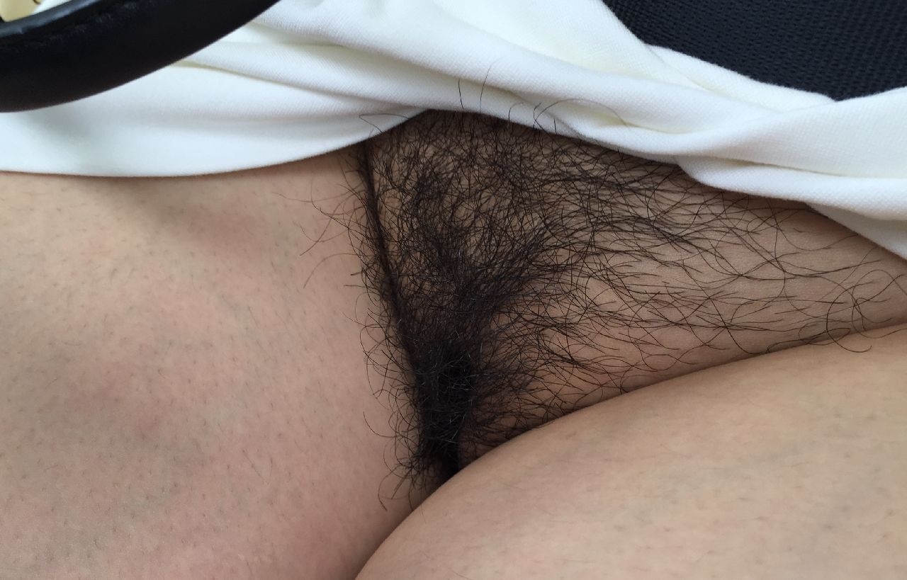 恥毛集の画像その3