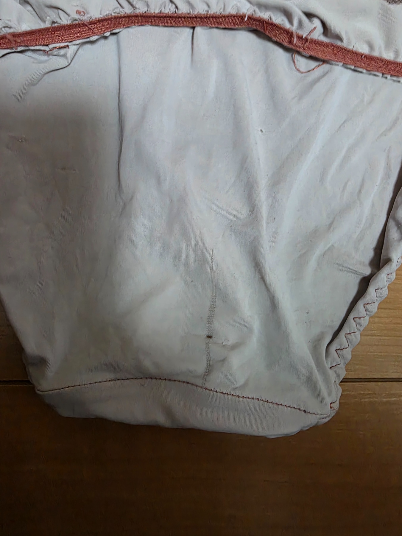 妻の廃棄下着の画像その4