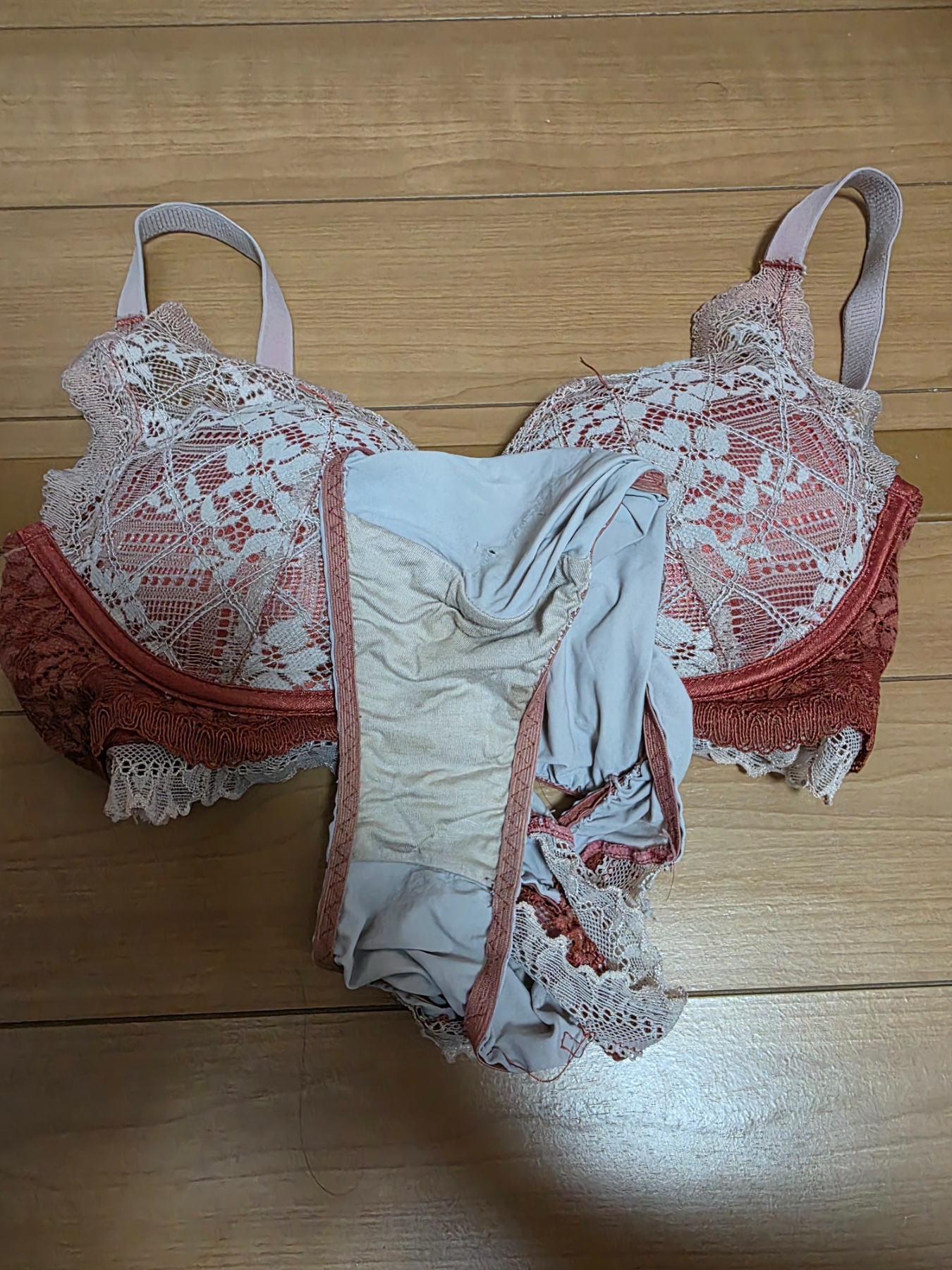 妻の廃棄下着の画像その2