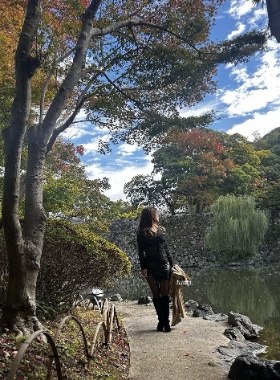 ソフトですいません