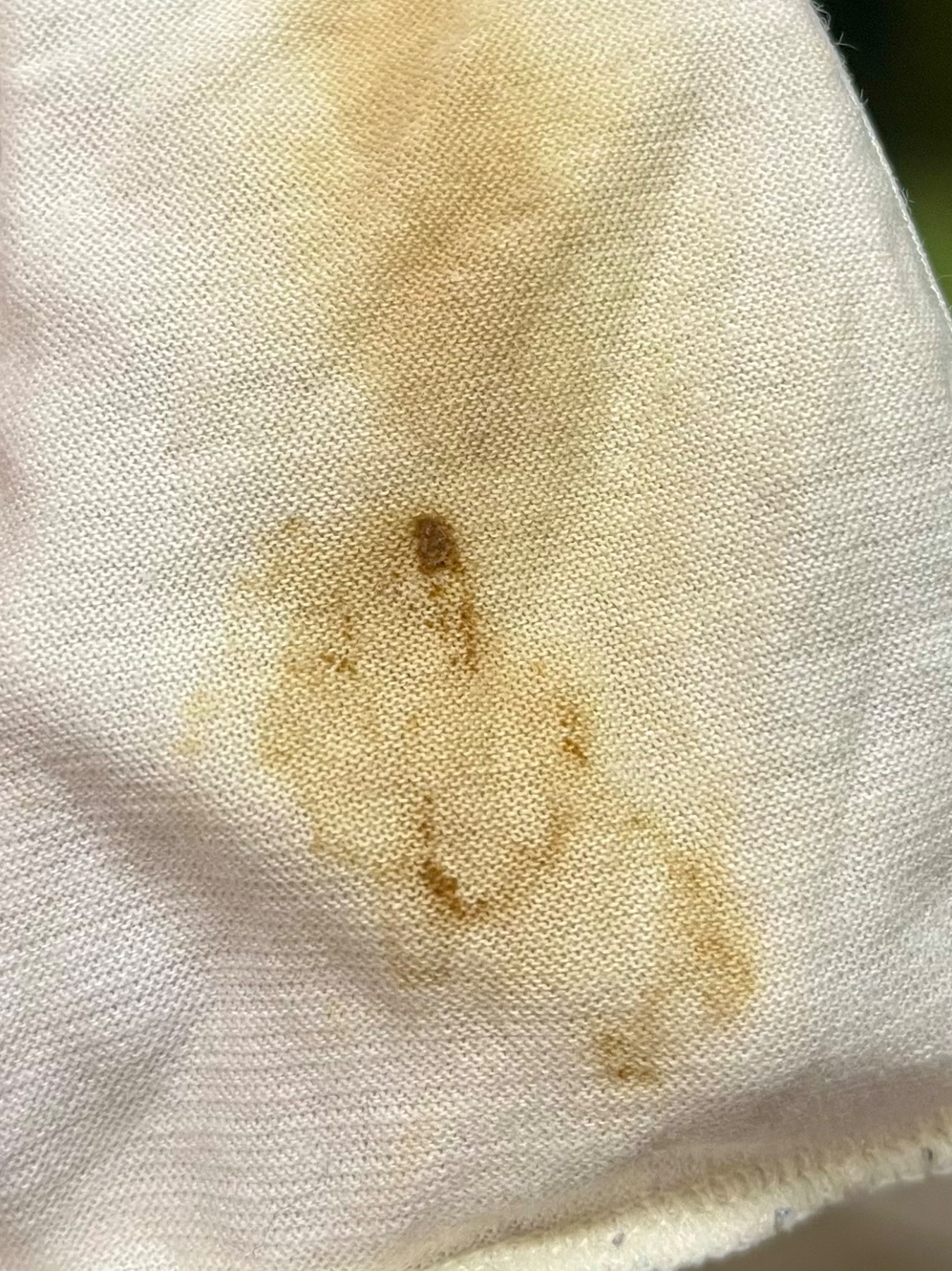 妻の汚パンツ①の画像その3