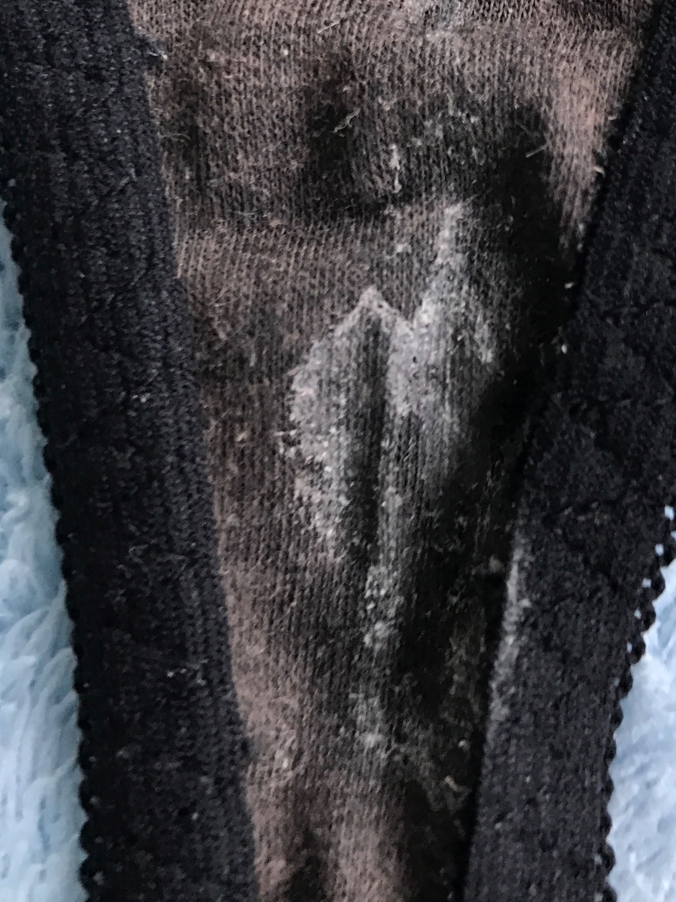 ２回濡れてました…何故⁉️の画像その4