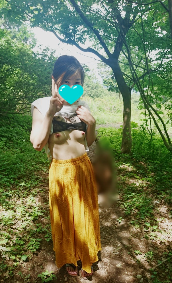 夏の森林公園①の画像その3