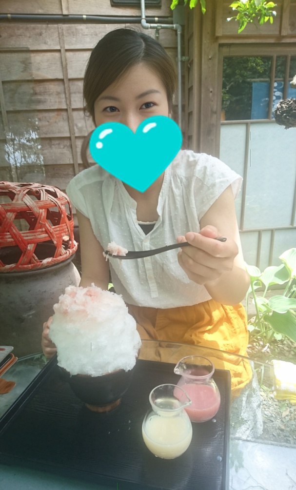 夏の森林公園①の画像その1